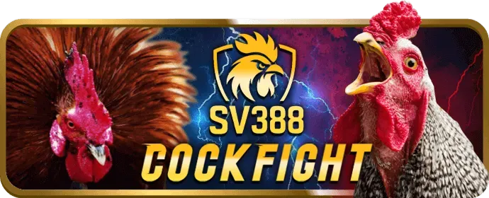 Ưu đãi chào mừng thành viên mới vf55